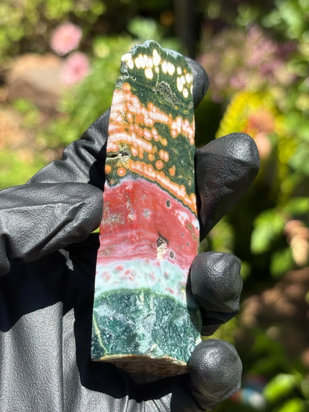 Colorful Ocean Jasper Slab - Druzy Sea Jasper - Polished Orbicular Jasper